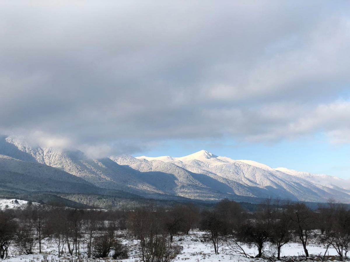 Belvedere Holiday Club .......Vip Bansko Exterior foto